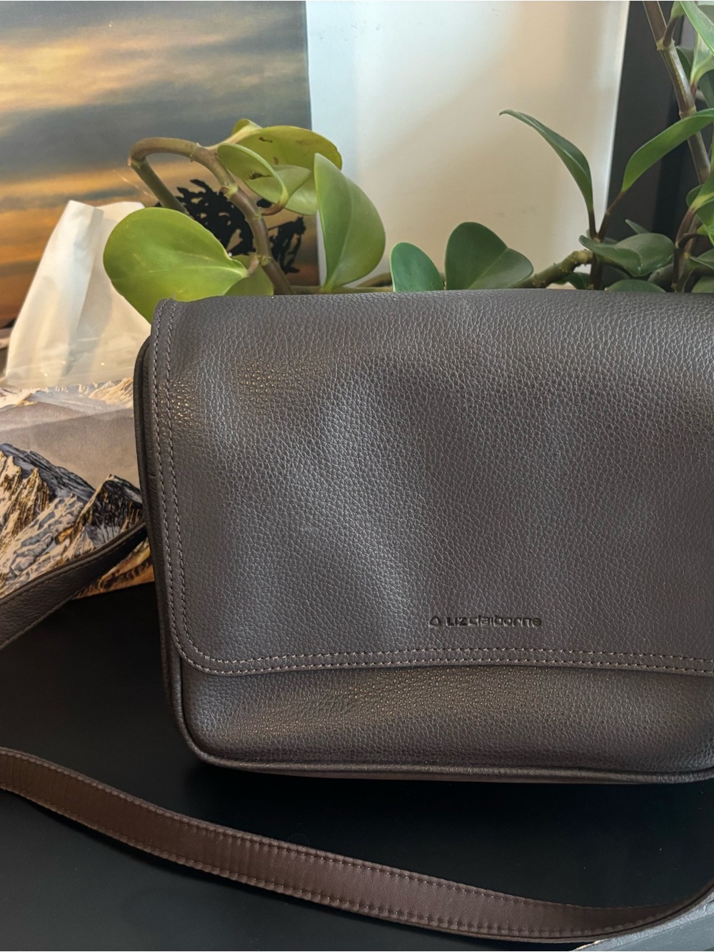 Liz Claiborne Dark Brown Pebbled Leather cross-body Bag